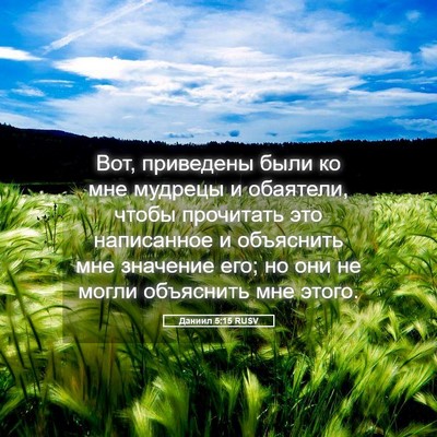 Picture 05 - Даниил 5:15 RUSV - Вот, приведены были ко мне - Bible Verse Picture