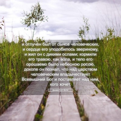 Picture 05 - Даниил 5:21 RUSV - и отлучен был от сынов - Bible Verse Picture