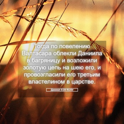 Picture 05 - Даниил 5:29 RUSV - Тогда по повелению - Bible Verse Picture