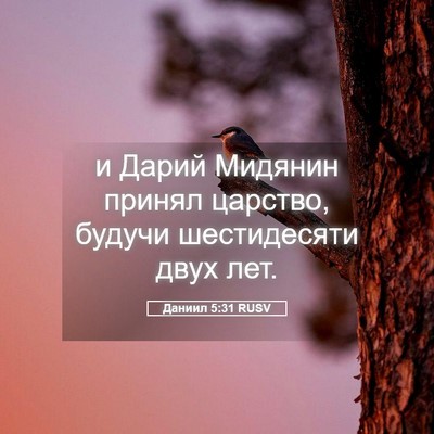 Picture 05 - Даниил 5:31 RUSV - и Дарий Мидянин принял - Bible Verse Picture