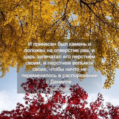 Picture 05 - Даниил 6:17 RUSV - И принесен был камень и - Bible Verse Picture