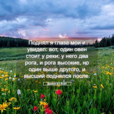 Picture 05 - Даниил 8:3 RUSV - Поднял я глаза мои и - Bible Verse Picture