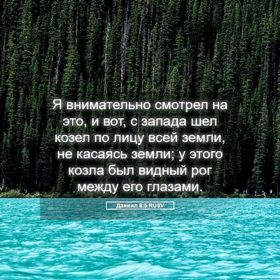Picture 05 - Даниил 8:5 RUSV - Я внимательно смотрел на - Bible Verse Picture