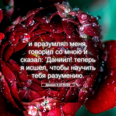 Picture 05 - Даниил 9:22 RUSV - и вразумлял меня, говорил - Bible Verse Picture