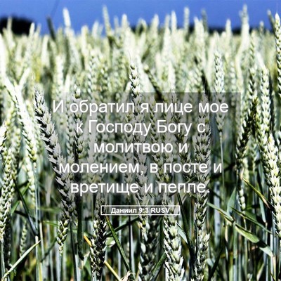 Picture 05 - Даниил 9:3 RUSV - И обратил я лице мое к - Bible Verse Picture
