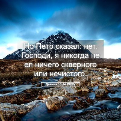 Picture 05 - Деяния 10:14 RUSV - Но Петр сказал: нет, - Bible Verse Picture
