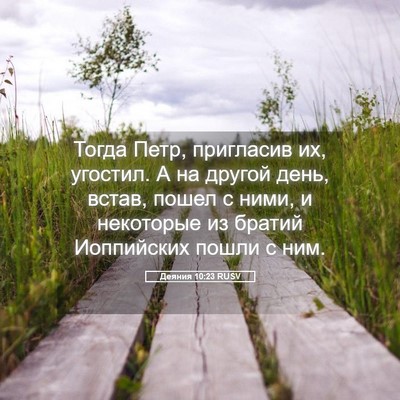 Picture 05 - Деяния 10:23 RUSV - Тогда Петр, пригласив их, - Bible Verse Picture
