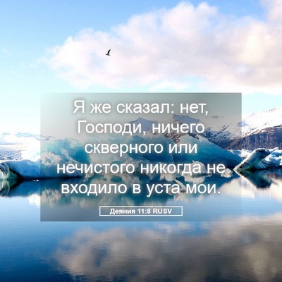 Picture 05 - Деяния 11:8 RUSV - Я же сказал: нет, Господи, - Bible Verse Picture