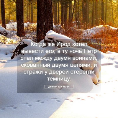 Picture 05 - Деяния 12:6 RUSV - Когда же Ирод хотел - Bible Verse Picture