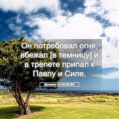 Picture 05 - Деяния 16:29 RUSV - Он потребовал огня, вбежал - Bible Verse Picture