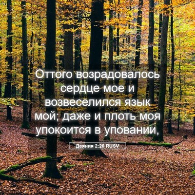 Picture 05 - Деяния 2:26 RUSV - Оттого возрадовалось - Bible Verse Picture