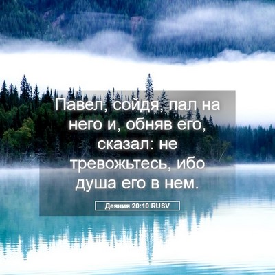 Picture 05 - Деяния 20:10 RUSV - Павел, сойдя, пал на него и, - Bible Verse Picture