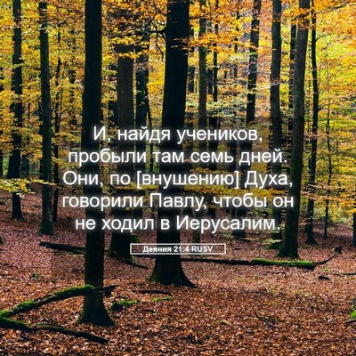 Picture 05 - Деяния 21:4 RUSV - И, найдя учеников, пробыли - Bible Verse Picture