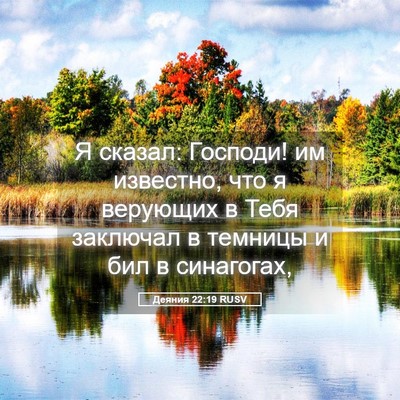 Picture 05 - Деяния 22:19 RUSV - Я сказал: Господи! им - Bible Verse Picture