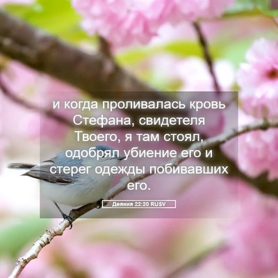 Picture 05 - Деяния 22:20 RUSV - и когда проливалась кровь - Bible Verse Picture