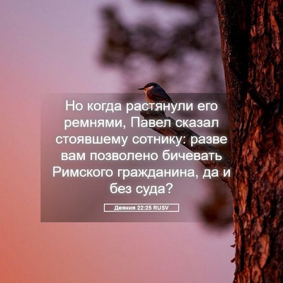 Picture 05 - Деяния 22:25 RUSV - Но когда растянули его - Bible Verse Picture