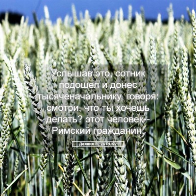 Picture 05 - Деяния 22:26 RUSV - Услышав это, сотник - Bible Verse Picture