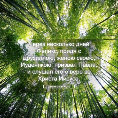 Picture 05 - Деяния 24:24 RUSV - Через несколько дней - Bible Verse Picture