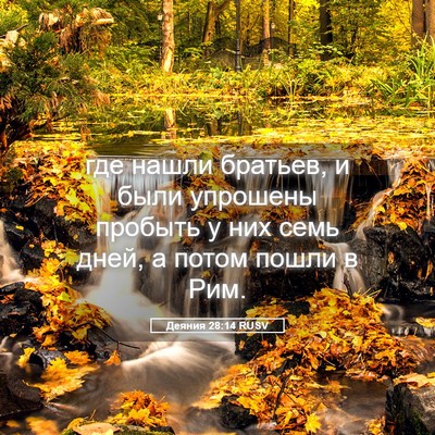 Picture 05 - Деяния 28:14 RUSV - где нашли братьев, и были - Bible Verse Picture