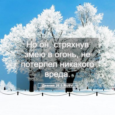 Picture 05 - Деяния 28:5 RUSV - Но он, стряхнув змею в - Bible Verse Picture