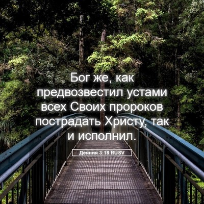 Picture 05 - Деяния 3:18 RUSV - Бог же, как предвозвестил - Bible Verse Picture