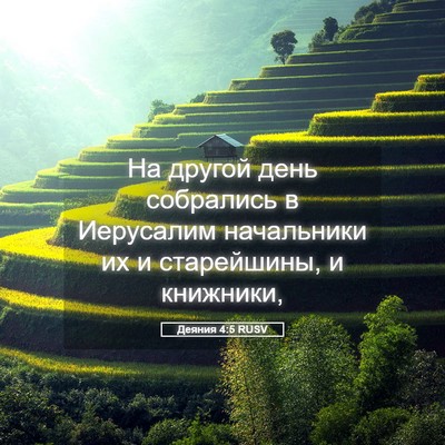 Picture 05 - Деяния 4:5 RUSV - На другой день собрались в - Bible Verse Picture