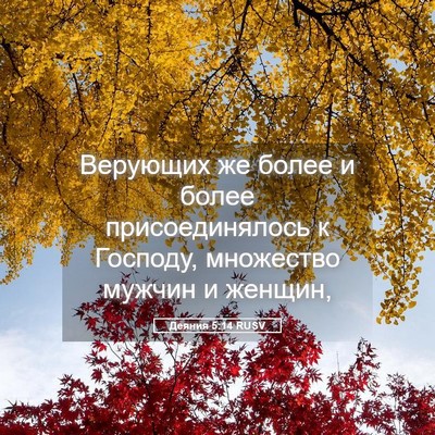Picture 05 - Деяния 5:14 RUSV - Верующих же более и более - Bible Verse Picture