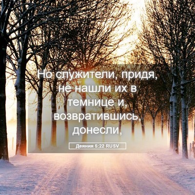 Picture 05 - Деяния 5:22 RUSV - Но служители, придя, не - Bible Verse Picture