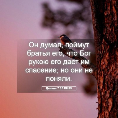 Picture 05 - Деяния 7:25 RUSV - Он думал, поймут братья - Bible Verse Picture