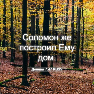 Picture 05 - Деяния 7:47 RUSV - Соломон же построил Ему - Bible Verse Picture