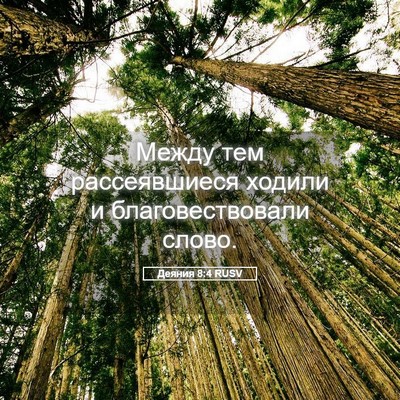Picture 05 - Деяния 8:4 RUSV - Между тем рассеявшиеся - Bible Verse Picture