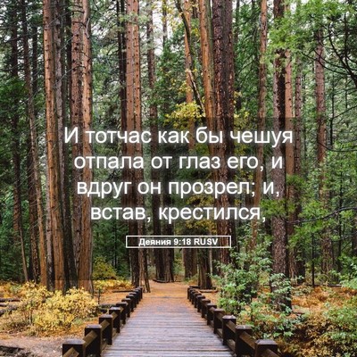 Picture 05 - Деяния 9:18 RUSV - И тотчас как бы чешуя - Bible Verse Picture