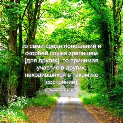 Picture 05 - Евреям 10:33 RUSV - то сами среди поношений и - Bible Verse Picture