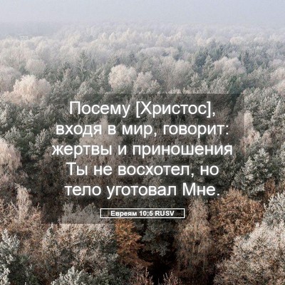 Picture 05 - Евреям 10:5 RUSV - Посему [Христос], входя в - Bible Verse Picture