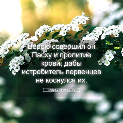 Picture 05 - Евреям 11:28 RUSV - Верою совершил он Пасху и - Bible Verse Picture