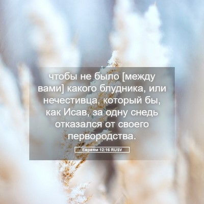 Picture 05 - Евреям 12:16 RUSV - чтобы не было [между вами] - Bible Verse Picture