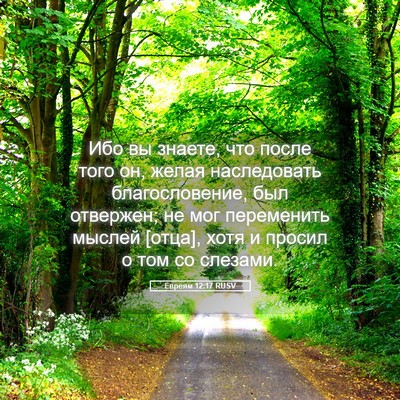 Picture 05 - Евреям 12:17 RUSV - Ибо вы знаете, что после - Bible Verse Picture