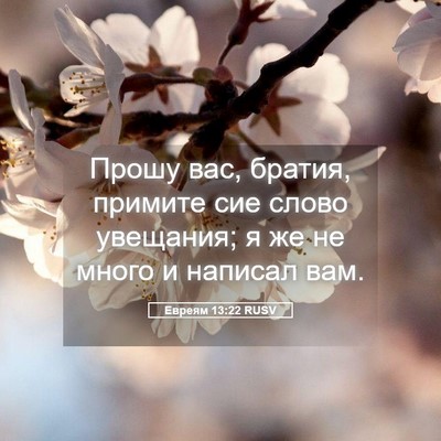 Picture 05 - Евреям 13:22 RUSV - Прошу вас, братия, примите - Bible Verse Picture