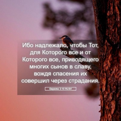 Picture 05 - Евреям 2:10 RUSV - Ибо надлежало, чтобы Тот, - Bible Verse Picture