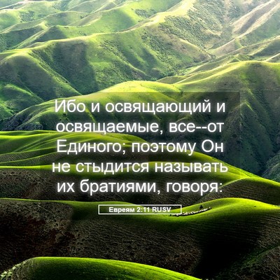 Picture 05 - Евреям 2:11 RUSV - Ибо и освящающий и - Bible Verse Picture