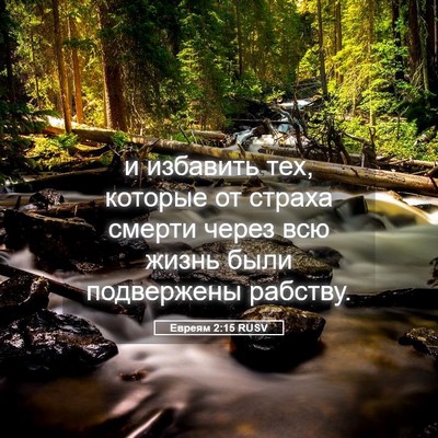 Picture 05 - Евреям 2:15 RUSV - и избавить тех, которые от - Bible Verse Picture