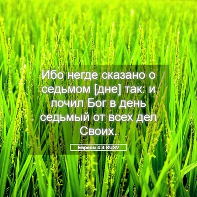 Picture 05 - Евреям 4:4 RUSV - Ибо негде сказано о - Bible Verse Picture