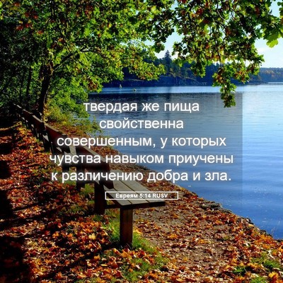 Picture 05 - Евреям 5:14 RUSV - твердая же пища - Bible Verse Picture