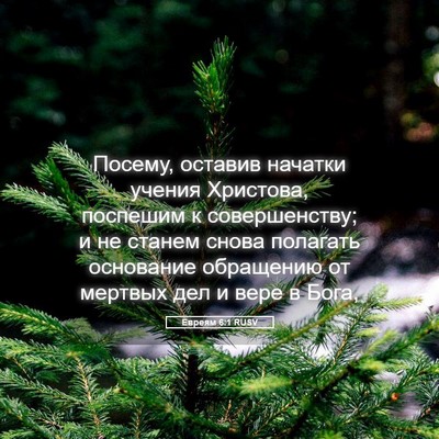 Picture 05 - Евреям 6:1 RUSV - Посему, оставив начатки - Bible Verse Picture