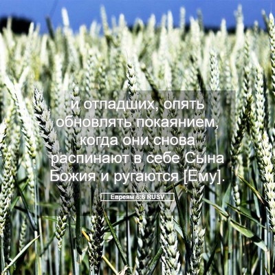 Picture 05 - Евреям 6:6 RUSV - и отпадших, опять - Bible Verse Picture