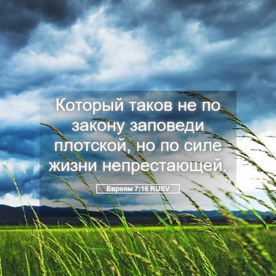 Picture 05 - Евреям 7:16 RUSV - Который таков не по закону - Bible Verse Picture