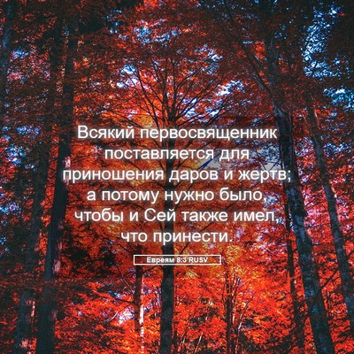 Picture 05 - Евреям 8:3 RUSV - Всякий первосвященник - Bible Verse Picture