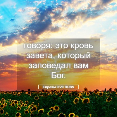 Picture 05 - Евреям 9:20 RUSV - говоря: это кровь завета, - Bible Verse Picture