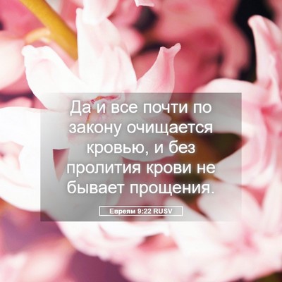 Picture 05 - Евреям 9:22 RUSV - Да и все почти по закону - Bible Verse Picture