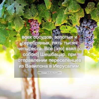 Picture 05 - Ездра 1:11 RUSV - всех сосудов, золотых и - Bible Verse Picture